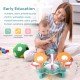 Cute Stone 5 in 1 Musical Instruments Toys