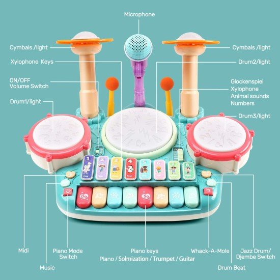 Cute Stone 5 in 1 Musical Instruments Toys