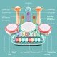 Cute Stone 5 in 1 Musical Instruments Toys