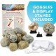 National Geographic Break Open 15 Premium Geodes Science Kit