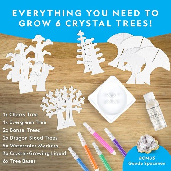 National Geographic Craft Kits for Kids