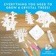 National Geographic Craft Kits for Kids