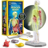 National Geographic Human Body Model National Geographic Human Body Model