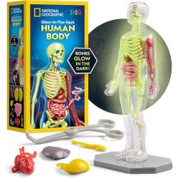 National Geographic Human Body Model National Geographic Human Body Model