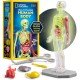 National Geographic Human Body Model