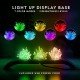 National Geographic Crystal Growing Kit - 3 Vibrant Colored Crystals To Grow With Light-Up Display Stand