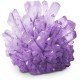 National Geographic - Crystal Grow Kit - Purple