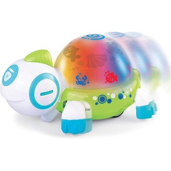 Little Learner Walk N Glow Turtle