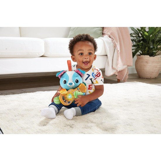 VTech Baby Puppy Sounds Guitar