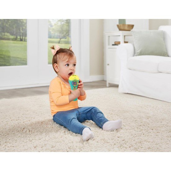 VTech Baby Sing Songs Microphone