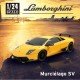 RC Cars – Lamborghini Yellow 1:24 Scale