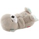 Fisher Price - Soothe N Snuggle Otter