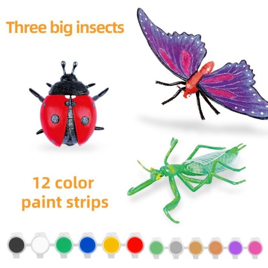 Paint Your Own: Insects