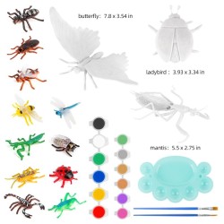 Paint Your Own: Insects Paint Your Own: Insects