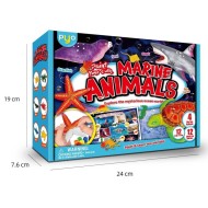 Paint Your Own: Marine Animals Paint Your Own: Marine Animals