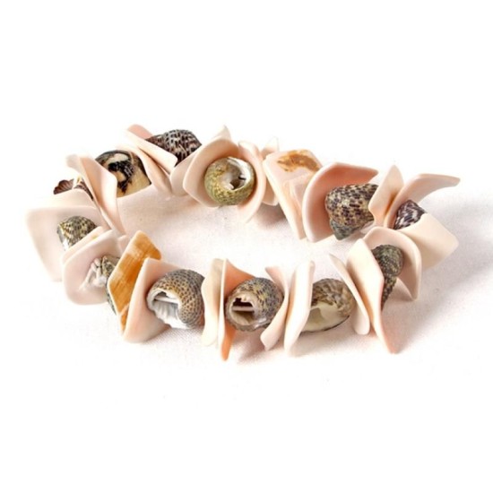 Shell Bracelet Dig Kit