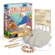 Shell Bracelet Dig Kit