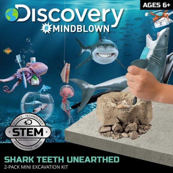 Discovery Mindblown - Mini Shark Tooth Excavation Kit 2pcs