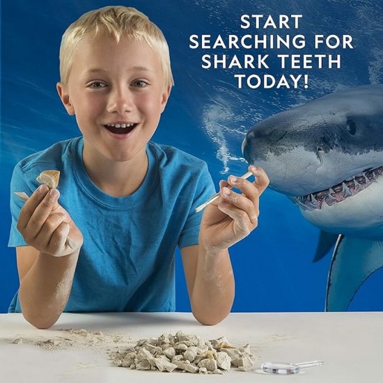 NATIONAL GEOGRAPHIC Shark Tooth Dig Kit