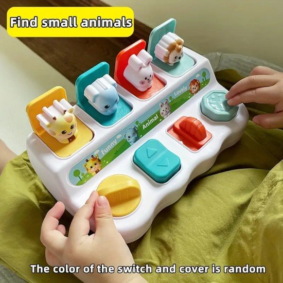 Pop-Up Animal Learning Box for Toddlers