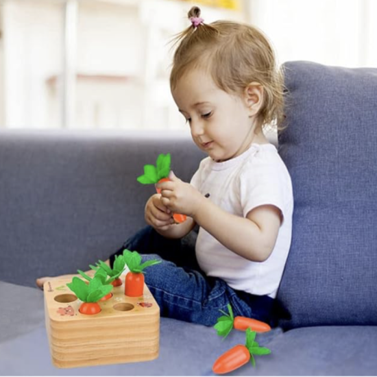 Carrot Toy Wooden