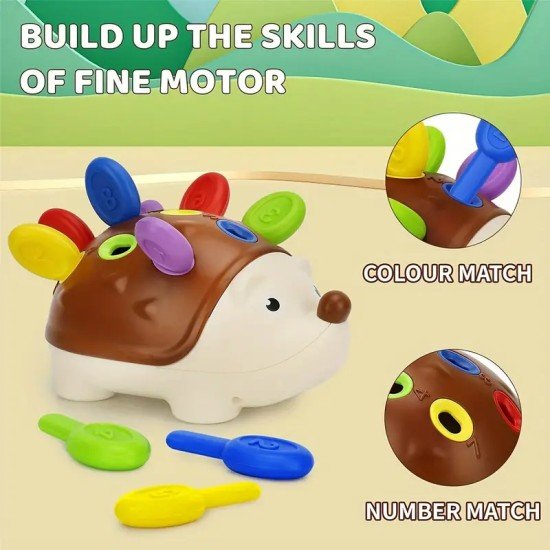 Educational Hedgehog Toy for Toddlers