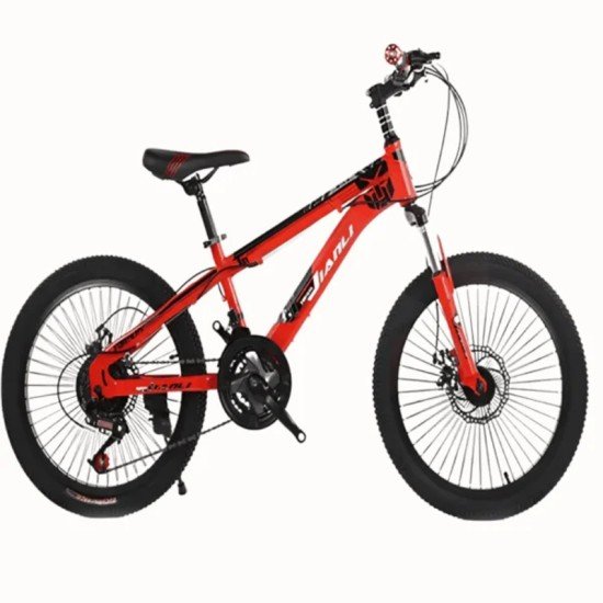 Bike For Kids Size 22