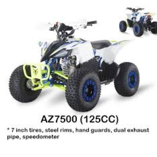 7 inch petrol buggy