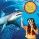 Abacus STEAM Shark Lab VR