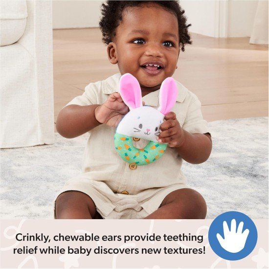 Ms. Rachel Hop LittleBunniesSensoryRing