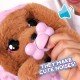 Baby Paws - Cocker