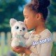Baby Paws - Siberian Husky