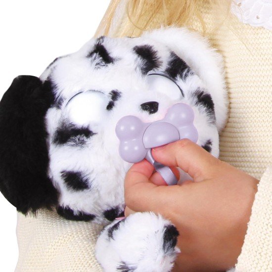 Baby Paws - Dalmatian Puppy