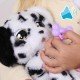 Baby Paws - Dalmatian Puppy