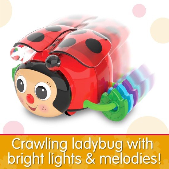 The Learning Journey Early Learning – Crawl About Ladybug