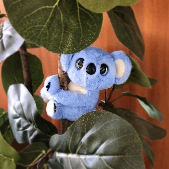 Sidney The Snuggling Koala