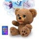 Poe The AI Story Bear