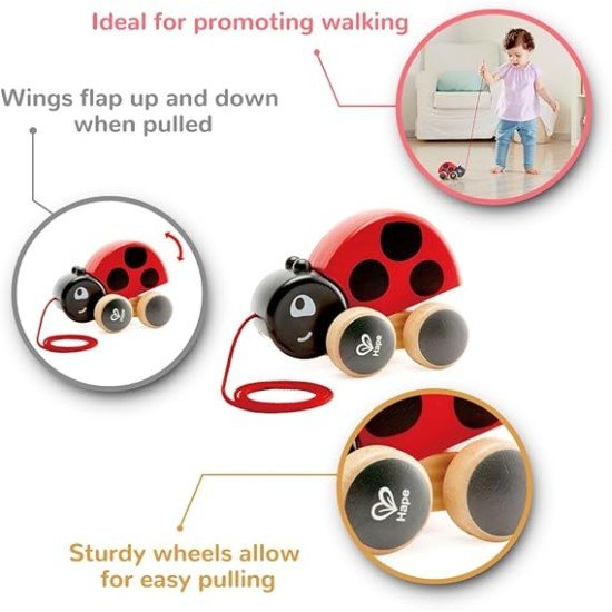 Hape Ladybug Pull-Along