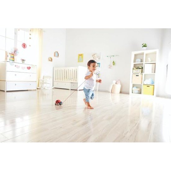 Hape Ladybug Pull-Along