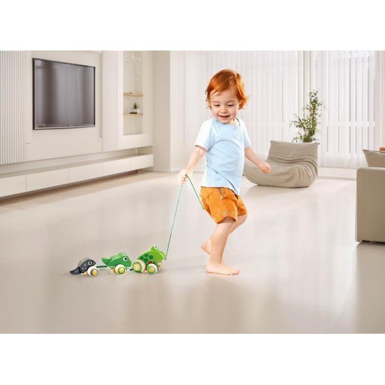 Hape Pull Along Frog Family