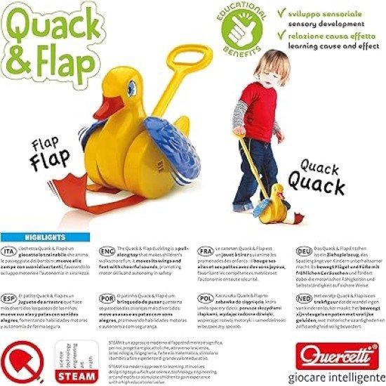 Quercetti Quack and Flap