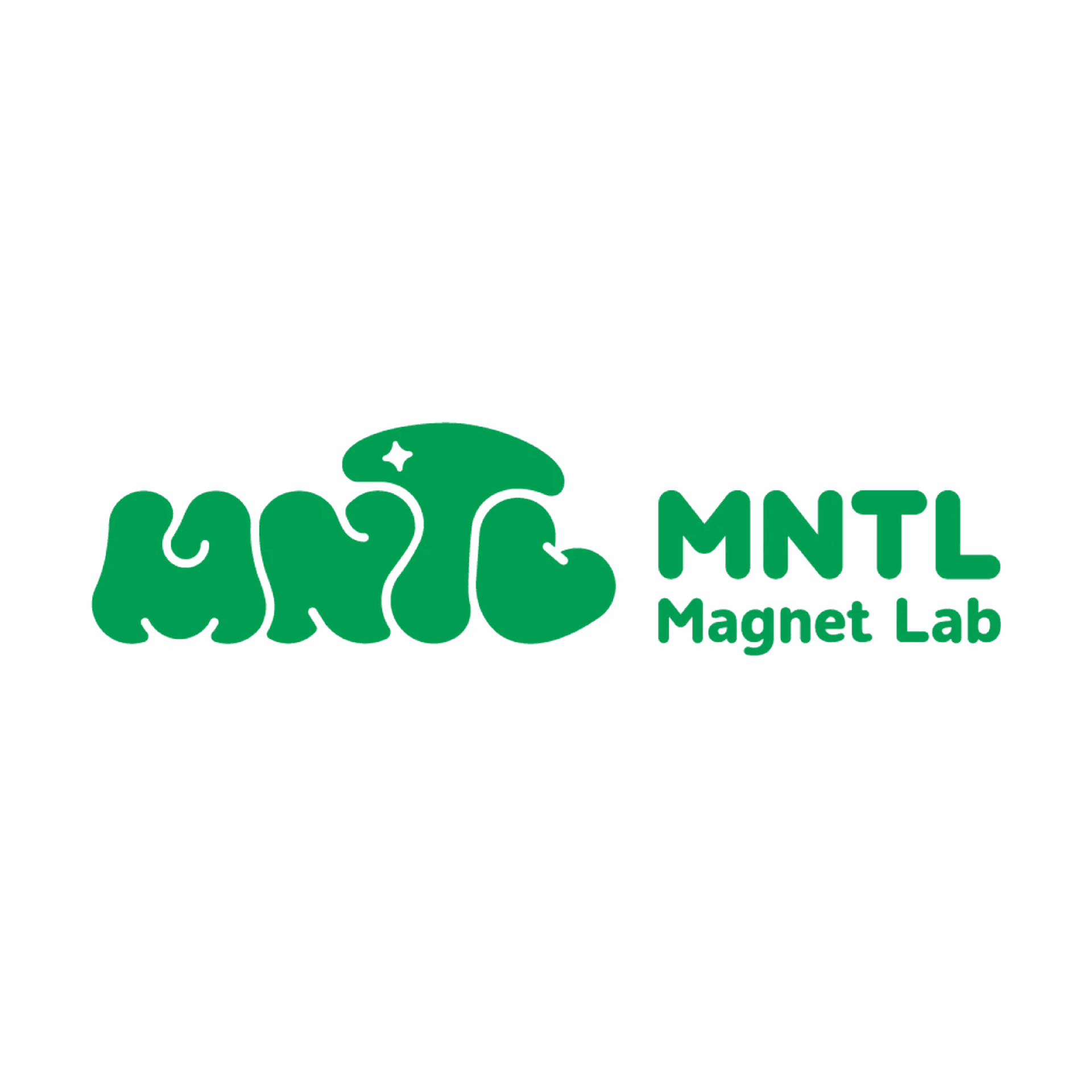 MNTL Magnetic