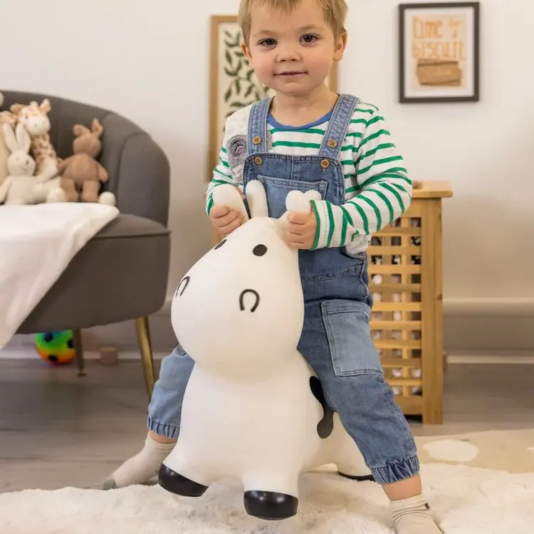 white+cow (1).webp