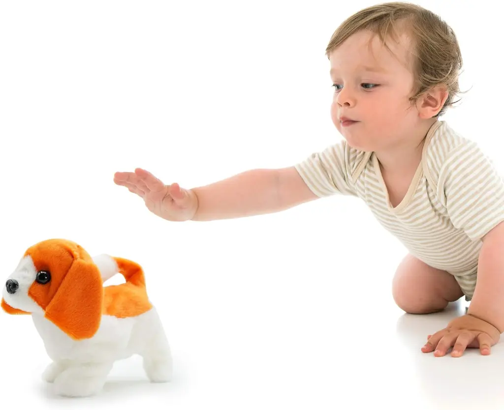 71L64DOhMGL._AC_SL1500_.webp