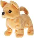 CHILIWALKINGDOG1.webp