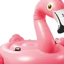 51csop30OgL._AC_SL1000_.webp