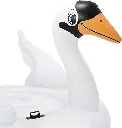51OgqMqElIL._AC_SL1500_.webp