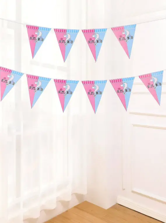 heshegenderrevealbuntingflagpaperroom.webp