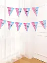 heshegenderrevealbuntingflagpaperroom.webp