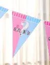 heshegenderrevealbuntingflagpapercloseup.webp